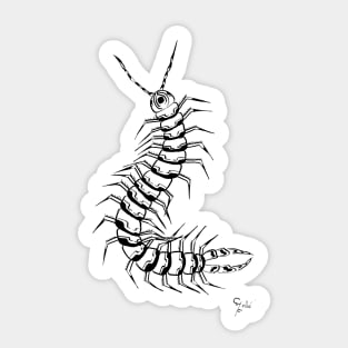 centipede Sticker